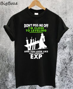Dont Piss Me Off Im Close to Leveling T-Shirt