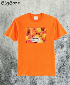 Pantone Just Peachy Orange T-Shirt