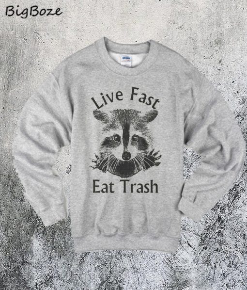 Life Fast Eat Trash Raccoon Sweatshirt