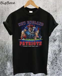 NFL New England Patriots End Zone T-Shirt