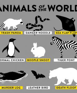 Animals of The World T-Shirt