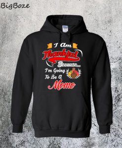 Thanksgiving Gift Going To Be A Momo Hoodie