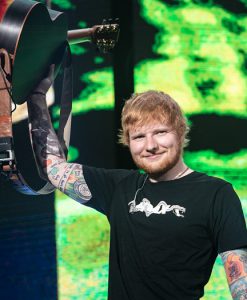 Hoax Snake Ed Sheeran T-Shirt