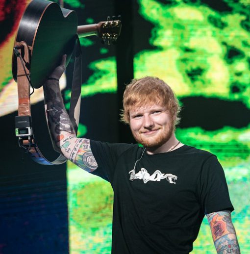 Hoax Snake Ed Sheeran T-Shirt