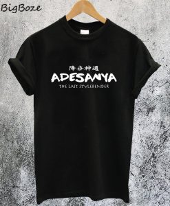 The Last Stylebender T-Shirt