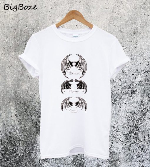 Bat Boys Sweatshirt T-ShirtBat Boys Sweatshirt T-Shirt