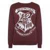 harry potter h sweatshirt