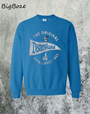 grey disneyland sweatshirt