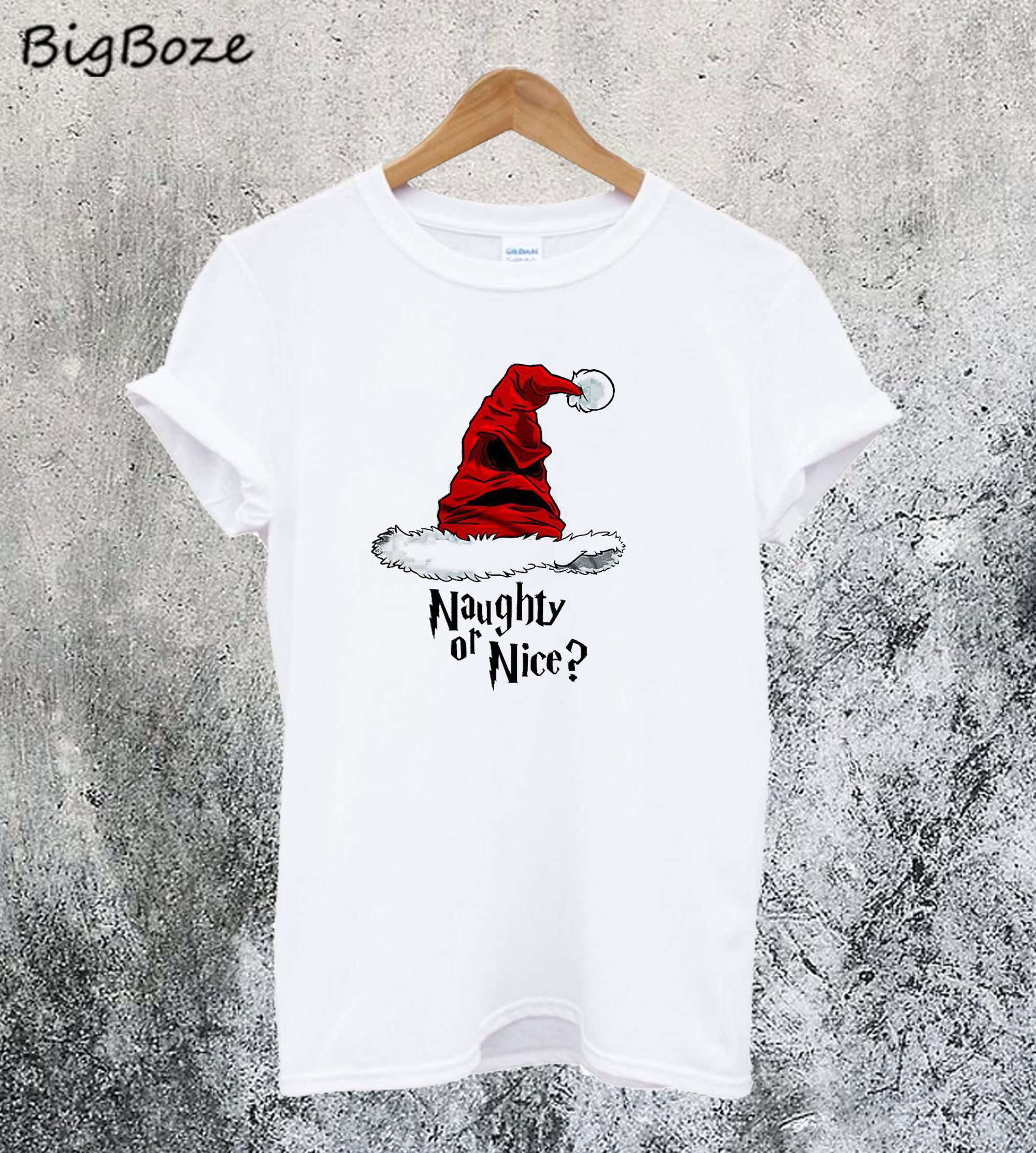 Hat Harry Potter Christmas T-Shirt